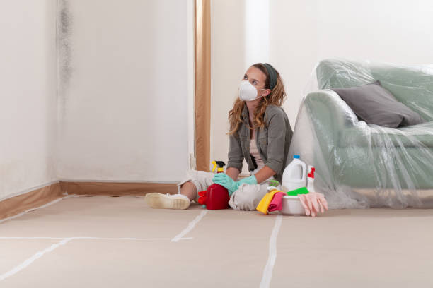 Reliable Mold Cleanup contractor in Doylestown, PA by Cheap Mold Removal